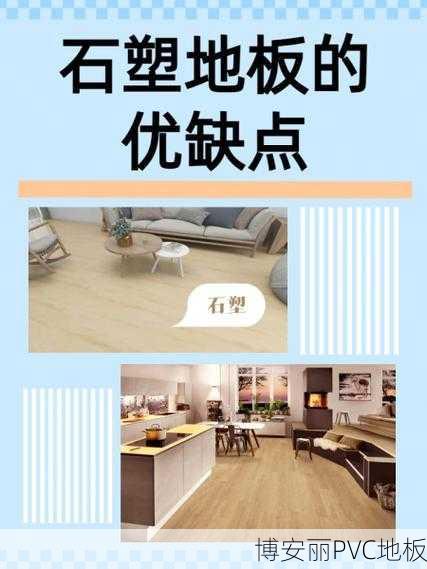 关于石塑地板的价格及其与PVC地板的区别,以下是详细的解答
